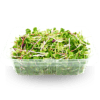 Pikantní salát