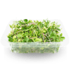 Sladký salát