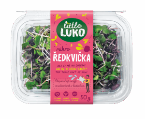 Ředkvička